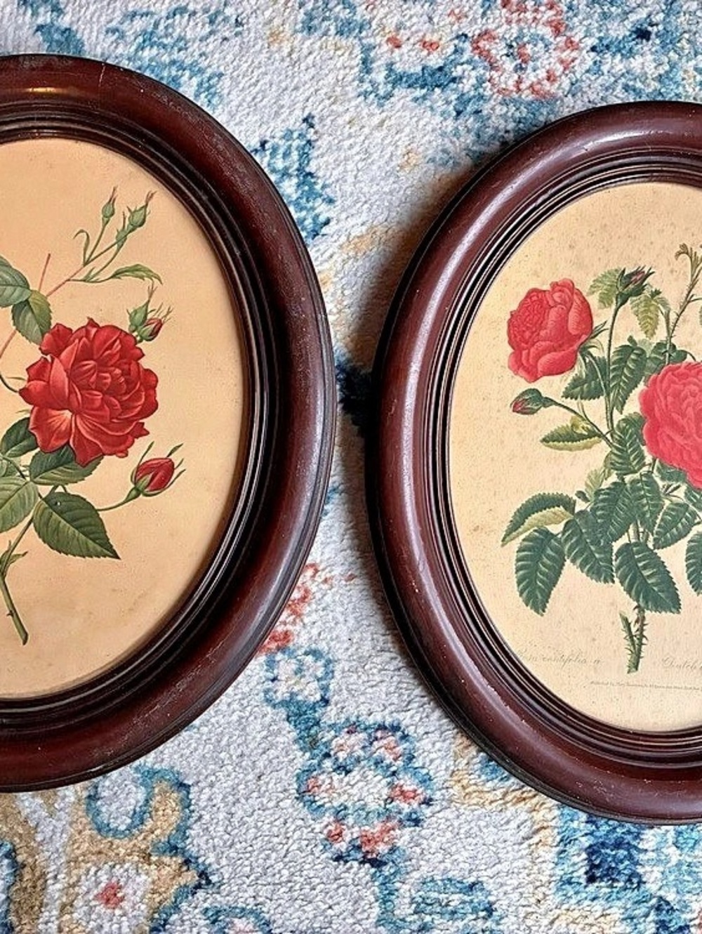 Vintage Oval Wood Wall Frames & Rose Botanical Prints (16x13 inches)